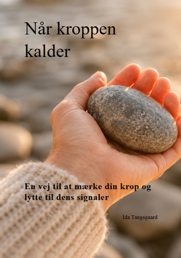 Bogomslag til Når kroppen kalder med en hånd, der holder en sten